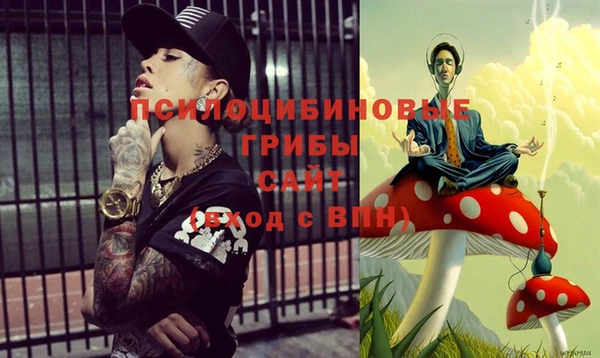 гидра Аркадак