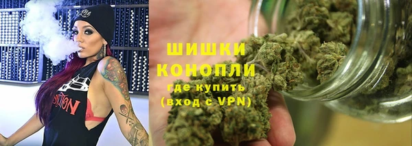 гидра Аркадак
