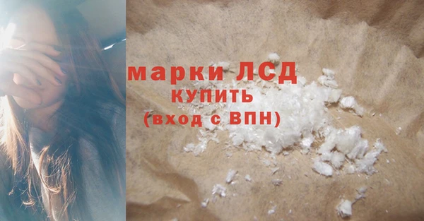 гидра Аркадак